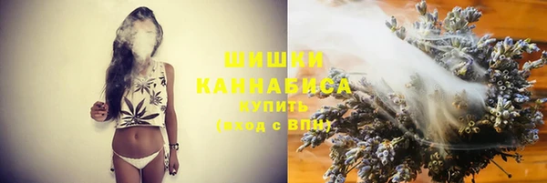 PSILOCYBIN Вязники