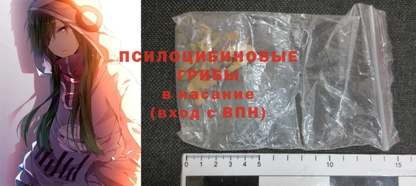PSILOCYBIN Вязники