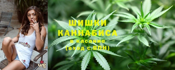 PSILOCYBIN Вязники