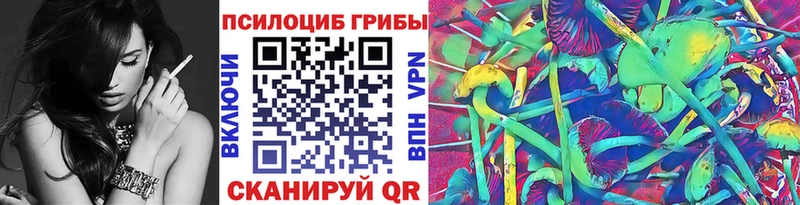 Купить закладки  Мамадыш  Псилоцибиновые грибы GOLDEN TEACHER 